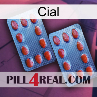 Cial 05